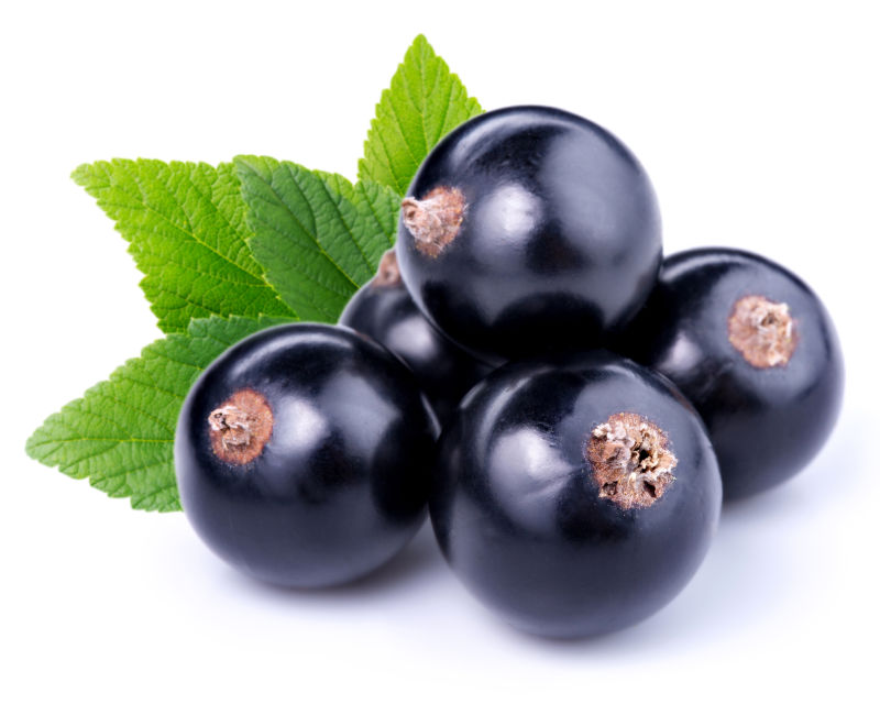 为什么生物制品的生产如此复杂？——探秘细胞工厂与严格质控背后的科学知识