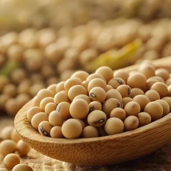大豆提取物